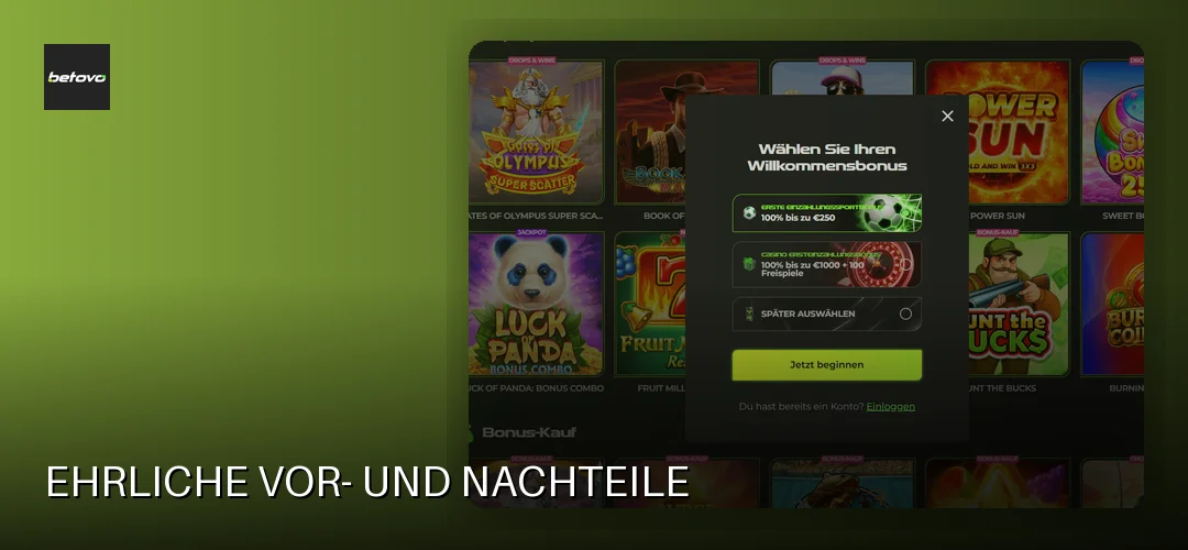 Ehrliche Vor- und Nachteile