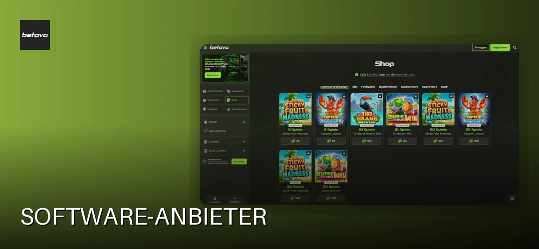 Software-Anbieter